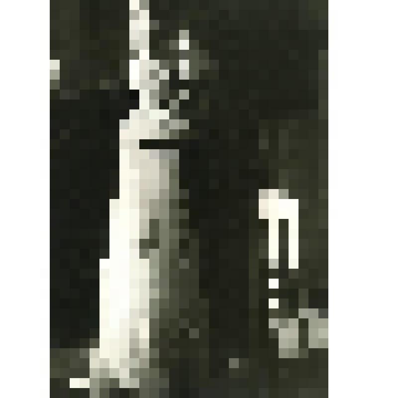 Фотография. Аав Т. в роли Цезаря Рунфа. Мяндметс Р. в роли Реи. "Ромул Великий" (Постановка  Пансо В. Художник Кюла М.). Эстония, Таллин. Эстонский государственный академический театр драмы им. В.Кингисеппа