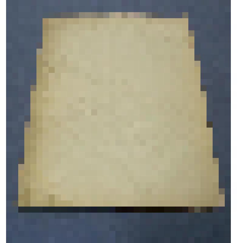 Ботаническая коллекция. Мятлик луговой, семейство злаковые, на гербарном листе. Сем. Yramineae P. Poa protensis Z