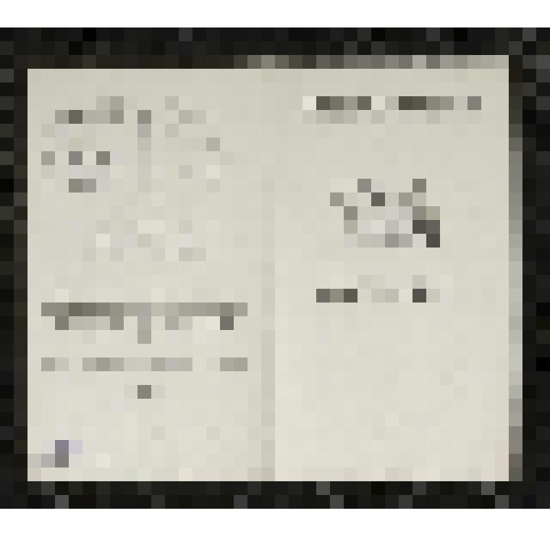 Программа. "Иван Сусанин" (Дирижер - Небольсин В.В. Режиссер - Баратов Л.В. Художник - Вильямс П.В.). Москва. Государственный академический Большой театр СССР