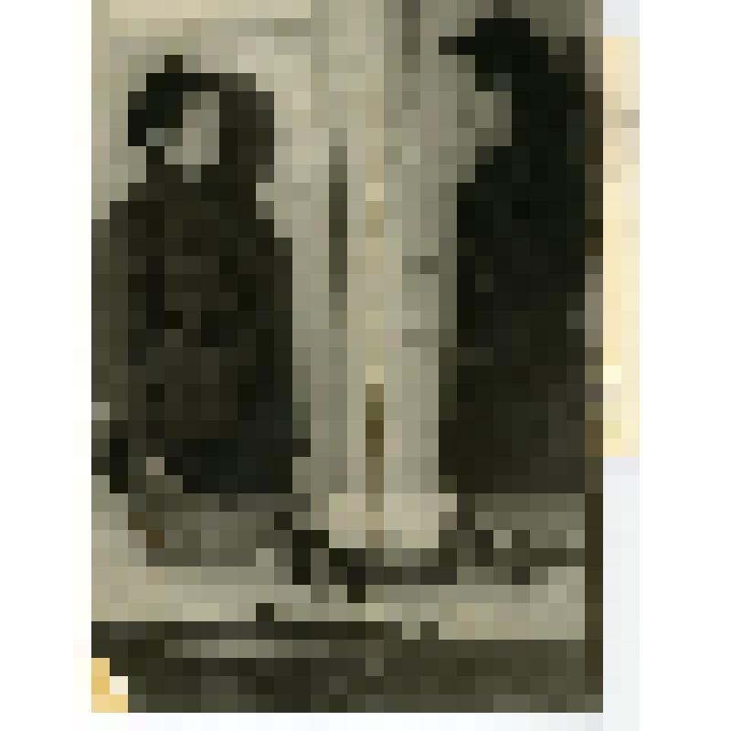 С. Шойхет - командир охраны порядка, рапортует начальнику группы самозащиты Белозерской П.Н. Фотография