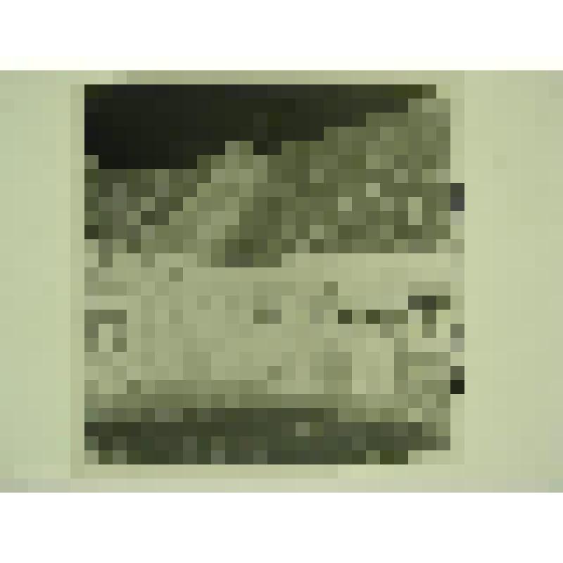 Дом Н.М.Беспалова. Ул. Привокзальная, 29. кон.XIX-нач.ХХ вв. Челябинская  обл., г. Карабаш, пос. Южный (с.Саймоновское). Дом Н.М.Беспалова. Ул. Привокзальная, 29. кон.XIX-нач.ХХ вв. Служебные постройки по южной и восточной границам усадьбы. Вид со стороны