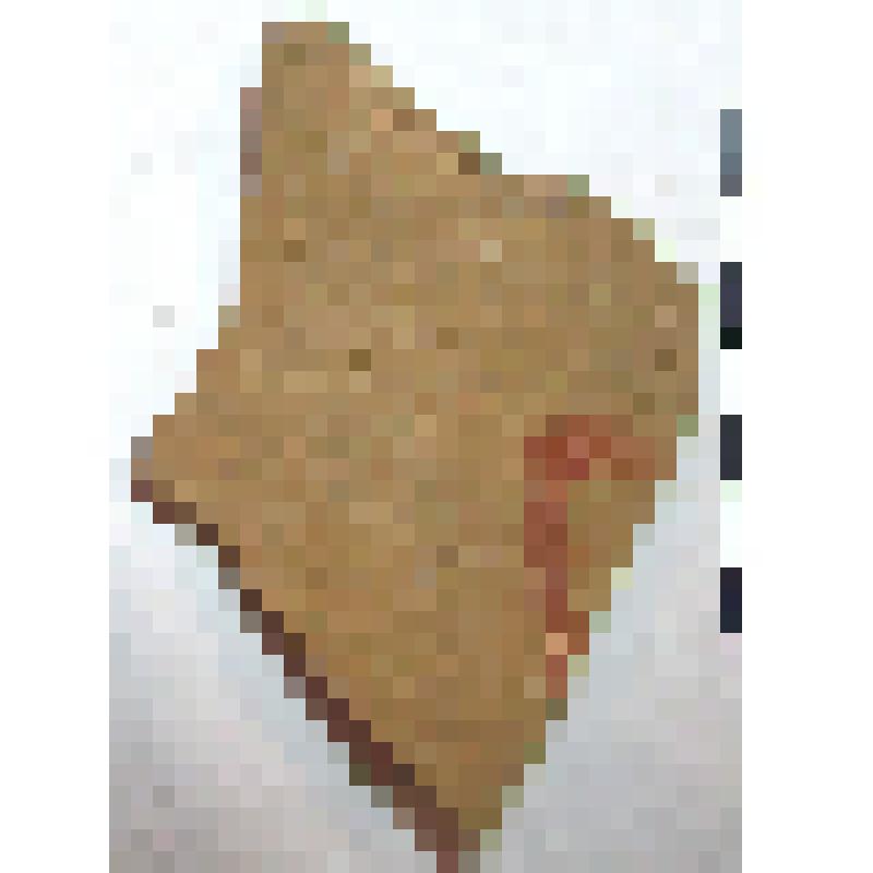 Фрагмент нижней части горла с частью плеча амфоры типа D с дипинто