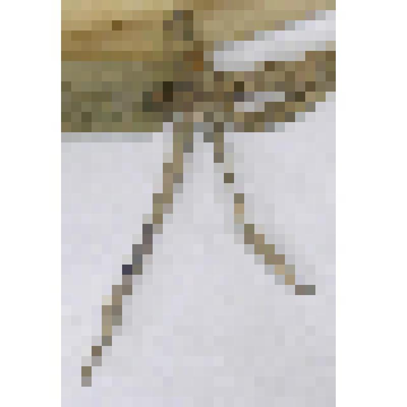 Ремешок сыромятный, тонкий