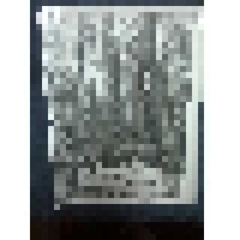 Фото. Сосна воротничковая