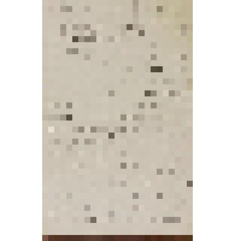 Полевой Петр Николаевич (писатель, литературовед). Письмо к Кондратьеву Алексею Михайловичу личного характера. [Без окончания]