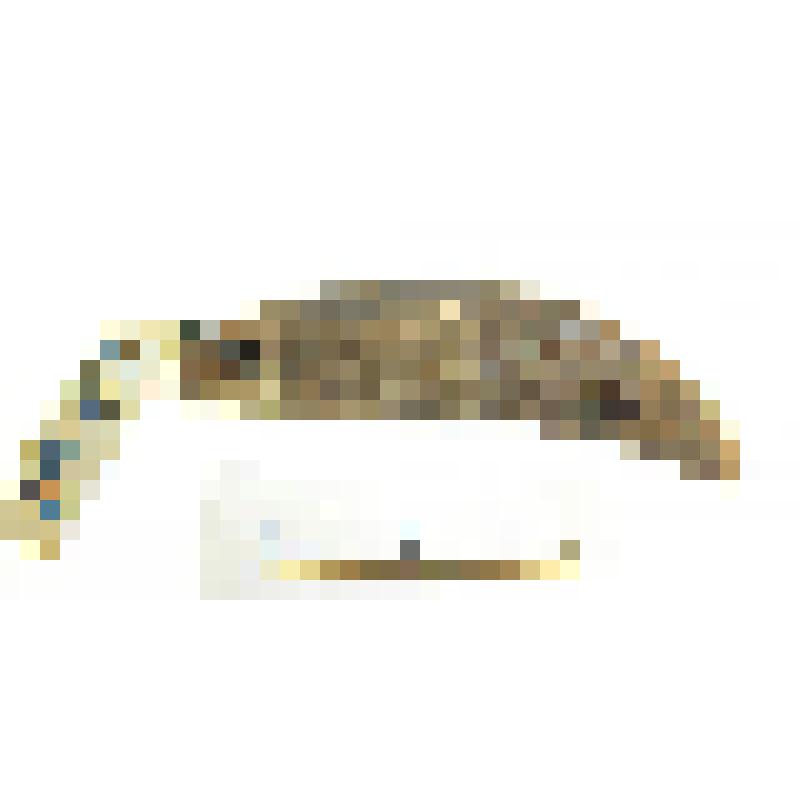 Амулет из клыка с отверстием для привешивания в корневой части