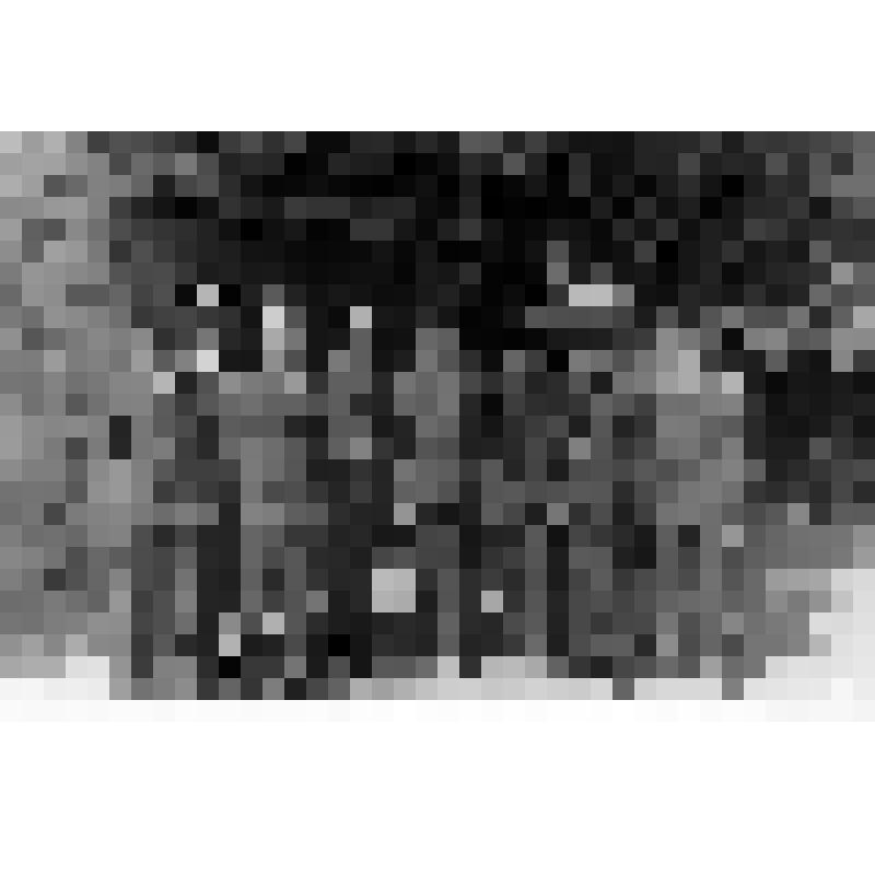 Отделение уголовного розыска Азовского ОВД перед строевым смотром. Тращенко П.Ф. - третий слева