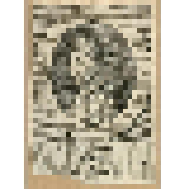 Маттеус Шиннер (1465-1522) — швейцарский и итальянский политик, кардинал, фонд западноевропейского  гравированного портрета