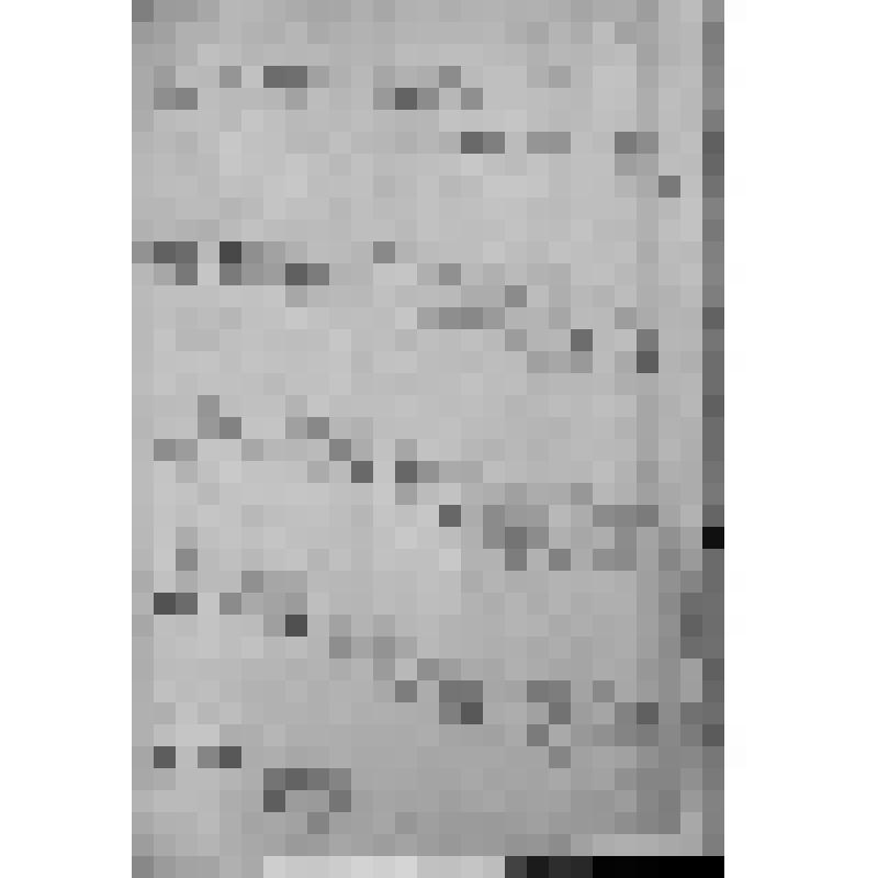 КОПИЯ СПИСКА