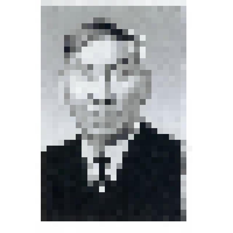 Фотография ч/б. Иванов Алексей Семенович