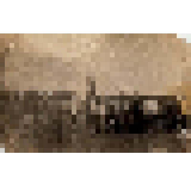 Ф/чб. Майский парад на площади Свободы г. Покровск. Строй военных со знаменем (ком-р Климецкий Г.В.) и армейцев с винтовками. 1922