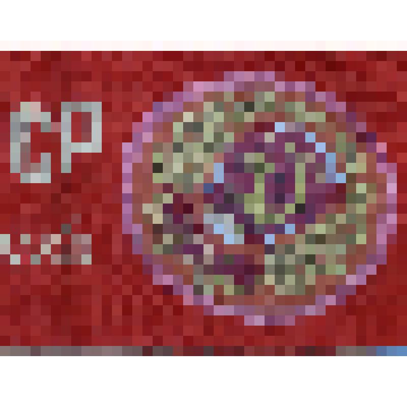 Лента наградная "Чемпион РСФСР по лёгкой атлетике" Щукина Н, чемпиона РСФСР по метанию диска и толканию ядра