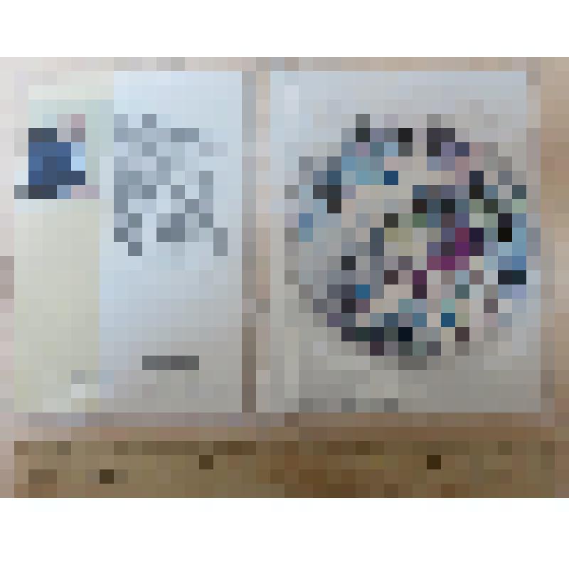 Футляр от  DDV диска. Советский район г. Уфы