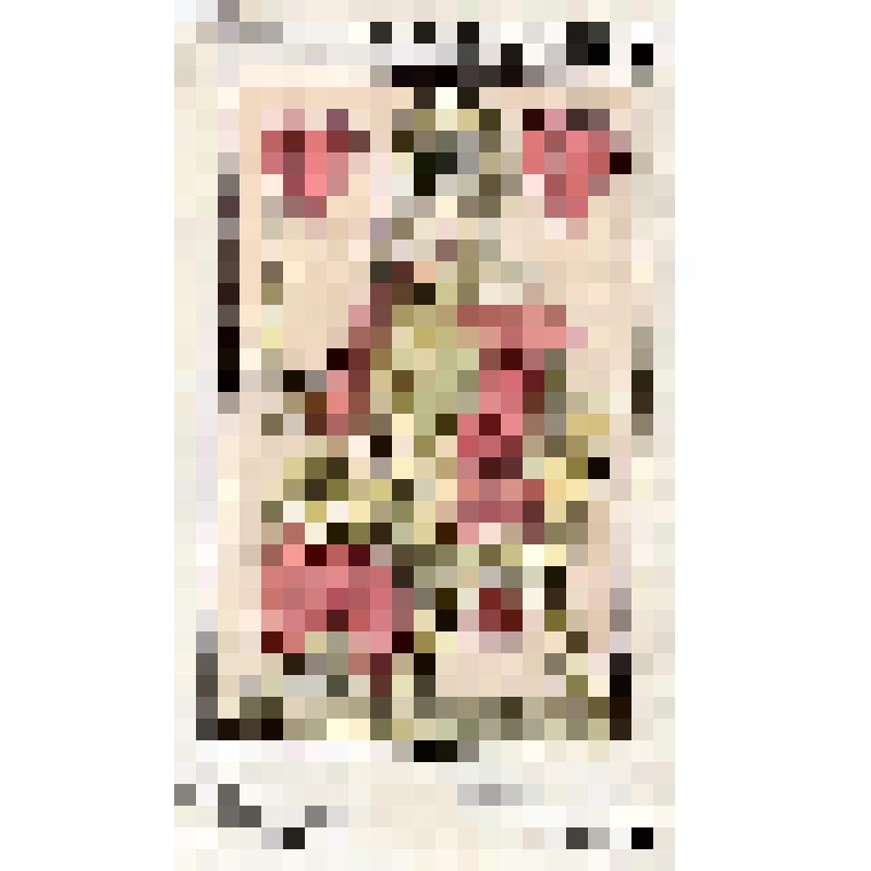 Марка № 232 "Игральные карты". Почтовые марки Чехословакии