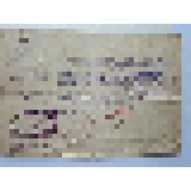 Мандат Московского губернского комитета по делам музеев и охраны памятников искусства, старины, народного быта и природы, с поручением Н. Я. Тамонькину обследовать художественно-исторические памятники зодчества на территории Москвы и Московской губернии