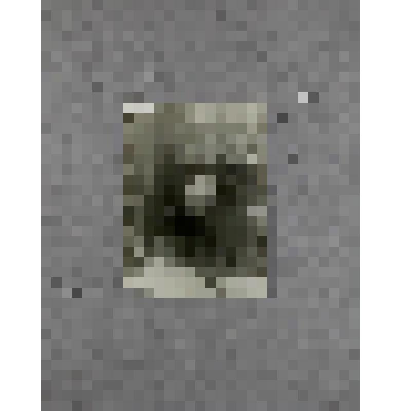 Фотография. Лесков Андрей Николаевич - сын писателя