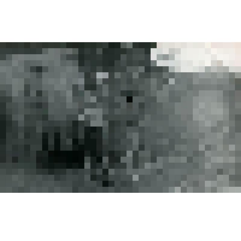 Фотография. Село Измайлово, 1 - ая Советская улица