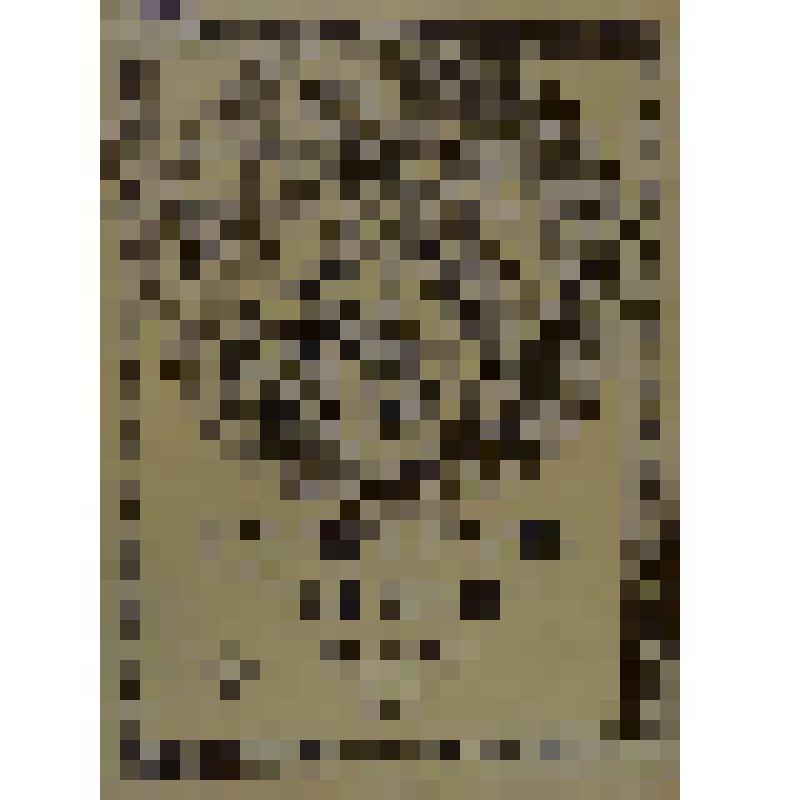 Журнал. Летопись войны с Японией. №63