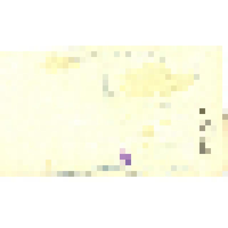 Набор почтовых открыток из 10 шт., ч/б