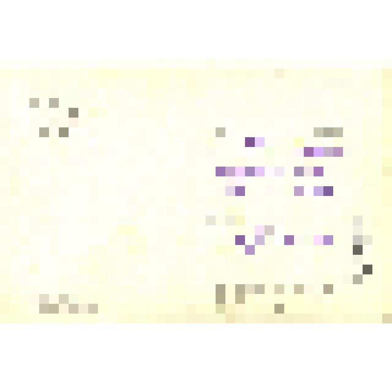 Набор почтовых открыток из 10 шт., ч/б