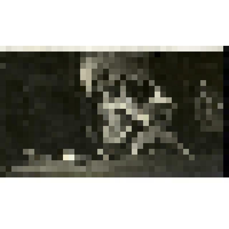 Фотография. Сцена 1 картины, III акта. Озолинь В.А. - Барин, Озолинь А.К. - Тот. "Сакта свободы". Латвийская ССР, Рига. Государственный театр оперы и балета ЛССР