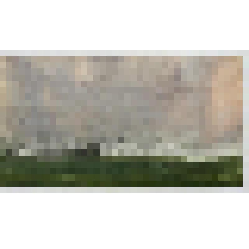 Акварель. Августовские туманы