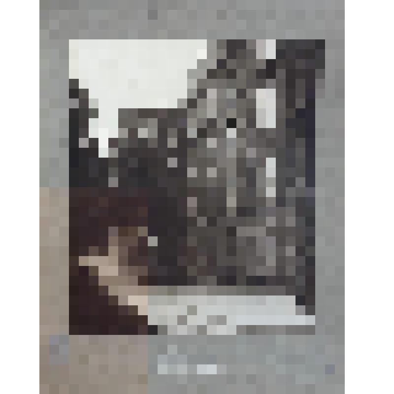 Здание школы на Донской улице (архитектор Хлынов). На картоне. Фотография