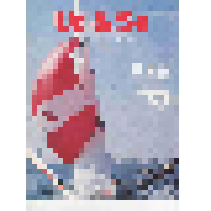 Португальский журнал