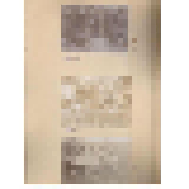 Лист с фотографиями. Виллуан В.Ю. и его окружение