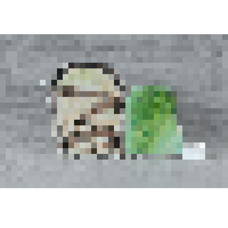 Изразец неправильной формы рельефный полихромный (левая часть панно) с изображением фрагмента голени левой ноги Микулы Селяниновича; цвета: салатовый, светло-коричневый, светло-охристый, сиреневый. 
Камин керамический, разноцветный, по рис. худ. Врубеля н