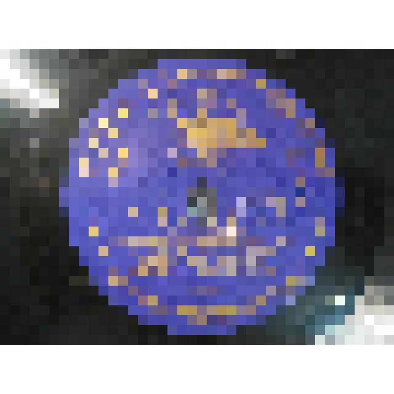 Грампластинка. 1. Романс  "Соловей"  Алябьева А. Исполняют Красноармейский балалаечный  оркестр ЦДКА, солист Михайлов М. Б., свист - Лакштовский Э. А.  2.  Песня  "Конармейская" Покрасса Д.  Исполняют Красноармейский балалаечный  оркестр ЦДКА п/у Николаев