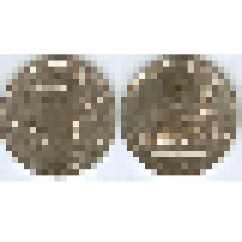 Монета памятная. 5 рублей. Висло-Одерская операция. Из альбома коллекционного памятных монет банка России, посвященного 70-летию Победы в Великой Отечественной войне 1941-1945 гг