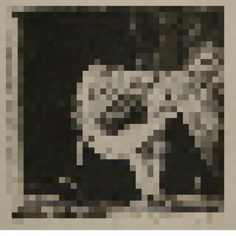 Ночная сцена