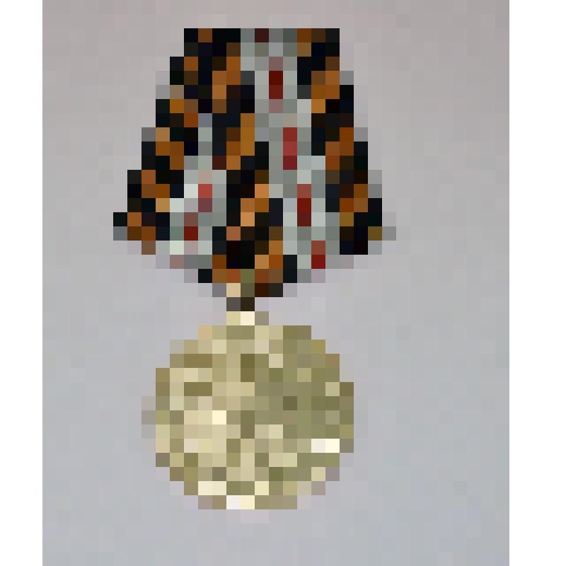 Медаль Республики Беларусь юбилейная. 70 лет освобождения Республики Беларусь от немецко-фашистских захватчиков. Курылёва Н.И, ветерана Великой Отечественной войны