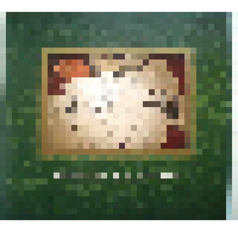 Книга-альбом "Библиотека М.А.Шолохова. Книги с автографами" ч.1