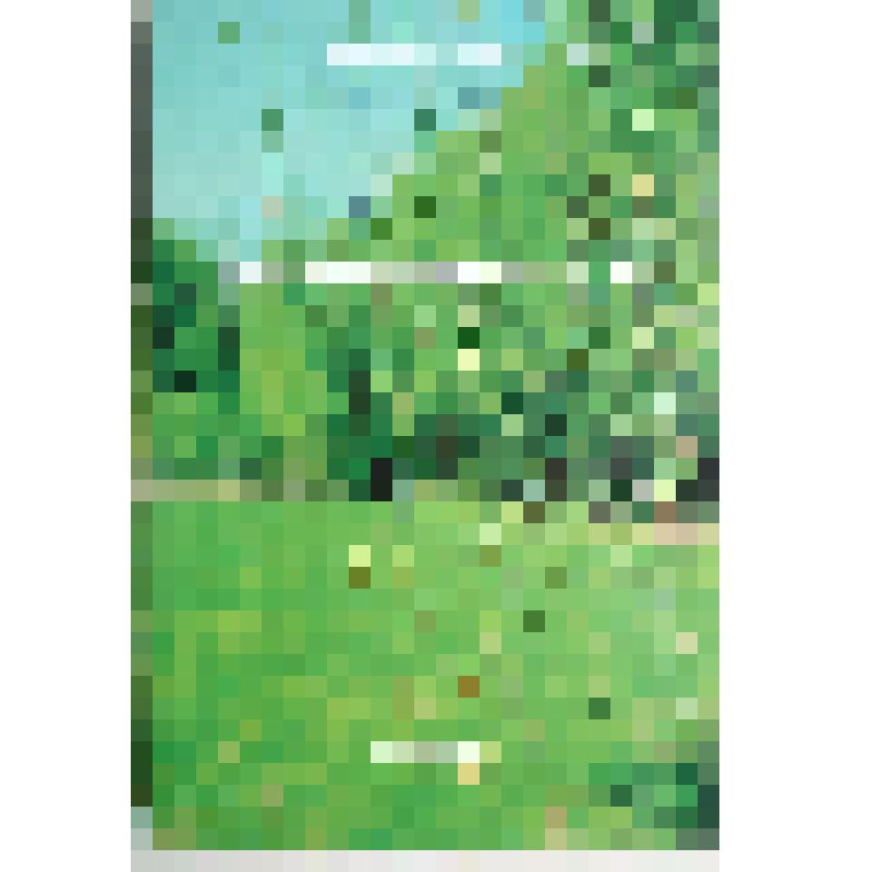 Книга "Кого ты более любил?"