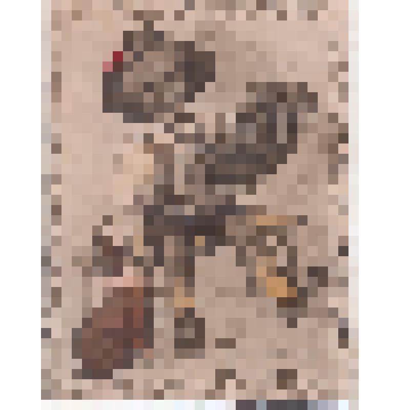 Художественное фото «Бывали дни веселые !» Мальчик в шляпе, с гармонью, рядом собачка