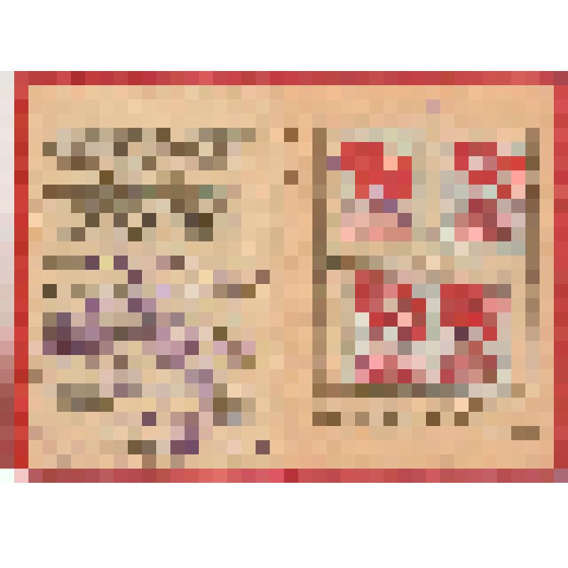 Билет членский № 03826155 Международной организации Помощи борцам Революции (секция СССР) Гальнбек Бориса Петровича, актёра Сарапульского театра