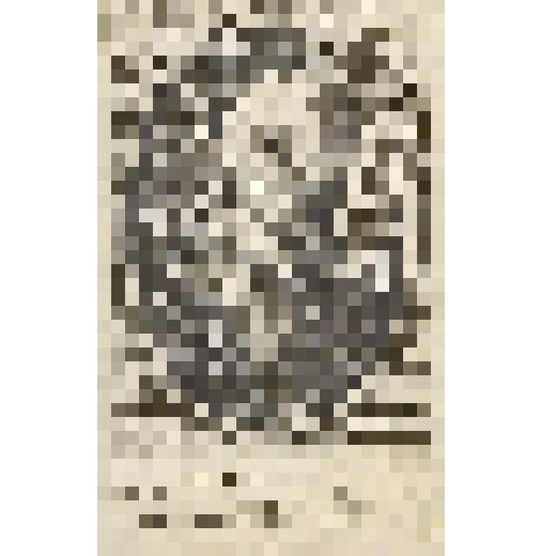 Александр VII (1599-1667) — Папа Римский с 7 апреля 1655 года по 22 мая 1667 года. фонд западноевропейского  гравированного портрета