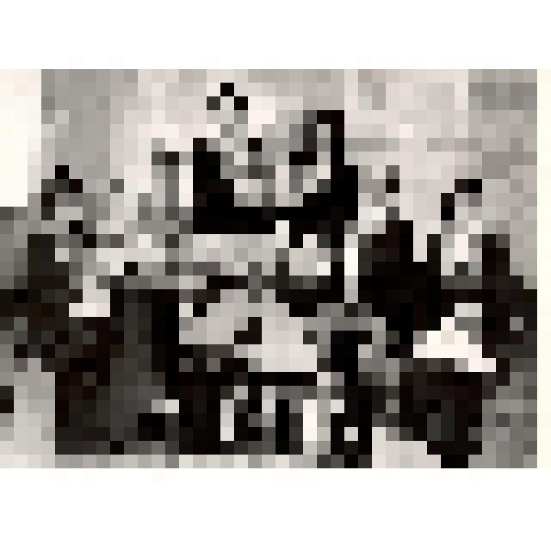 Фото: Коллектив детской музыкальной школы № 12. Ансамбль русских народных инструментов