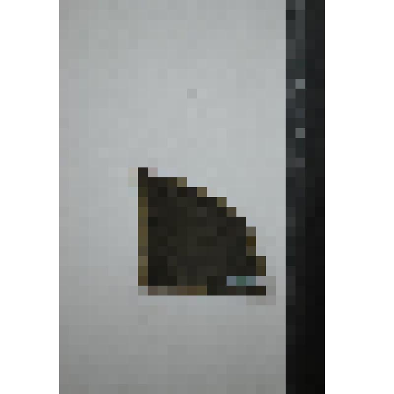 Сосуд. Фрагмент