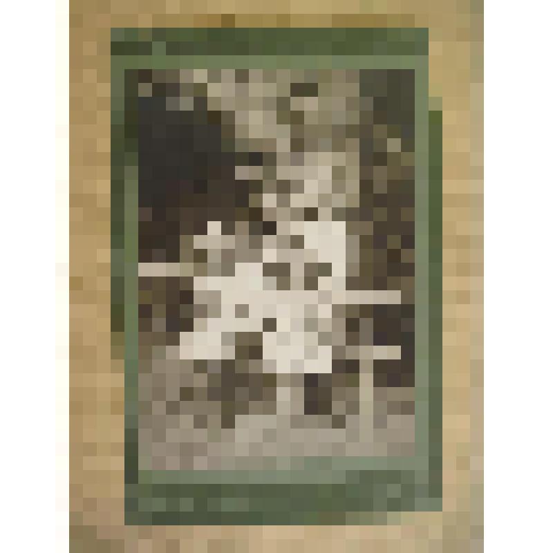 Архитектор Л. Н. Кекушев с детьми