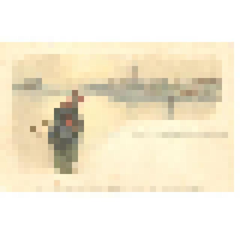 Открытка почтовая с изображением Венеции