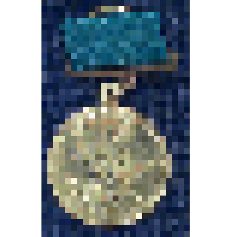 Медаль ВСХВ "Участнику Всесоюзной сельскохозяйственной выставки"