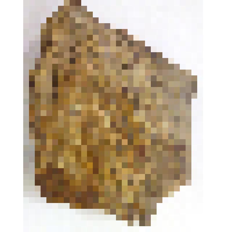 Фрагмент противоотпечатка стволовой части лепидофита