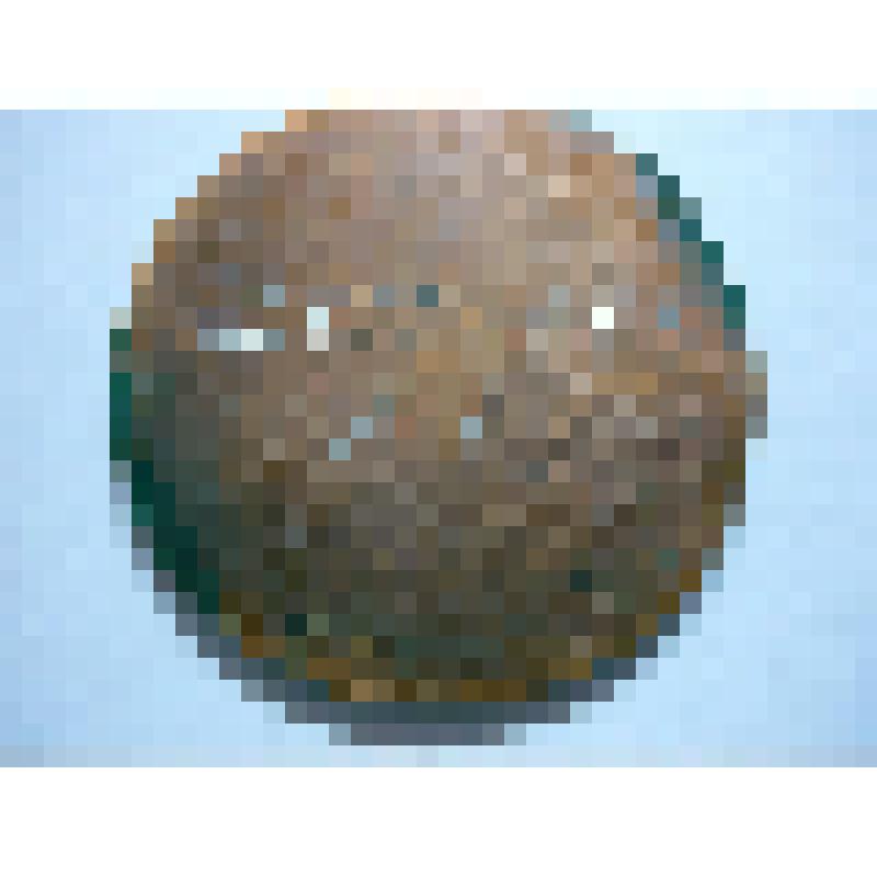 Медаль Щеголева Д.С. Шахматный фестиваль СССР 1917-1967. 50 лет