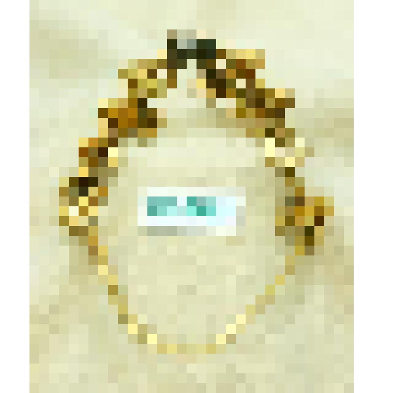 Анклет (паял). Подарок Всеиндийской студенческой федерации сталинградской молодёжи