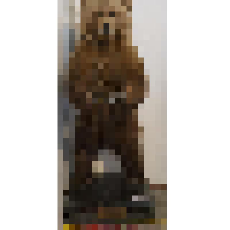 Чучело годовалого медвежонка на постаменте, в лапах - деревянная тарелочка