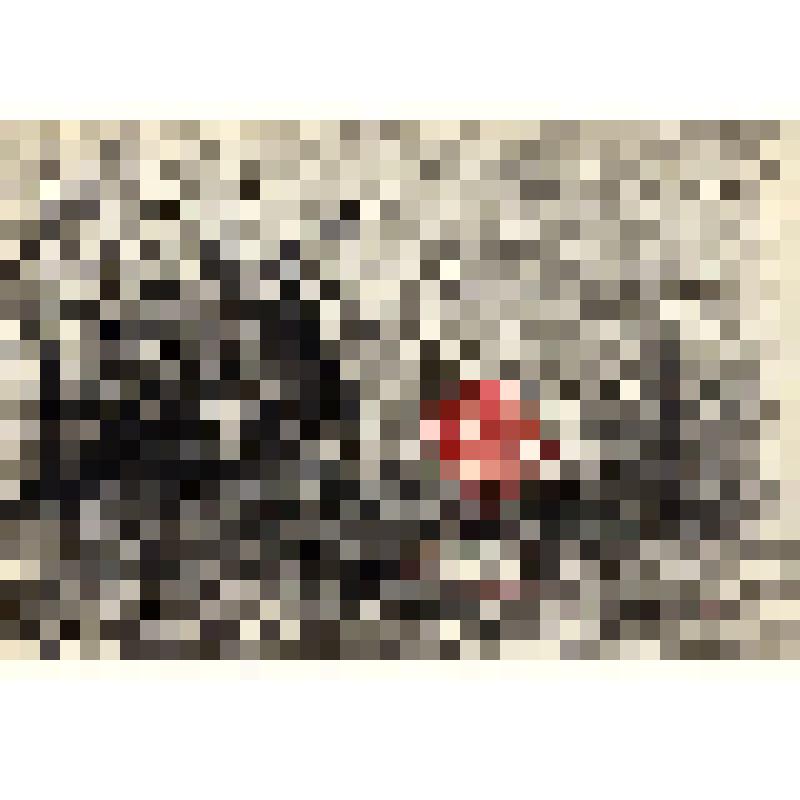 рисунок. Избушка