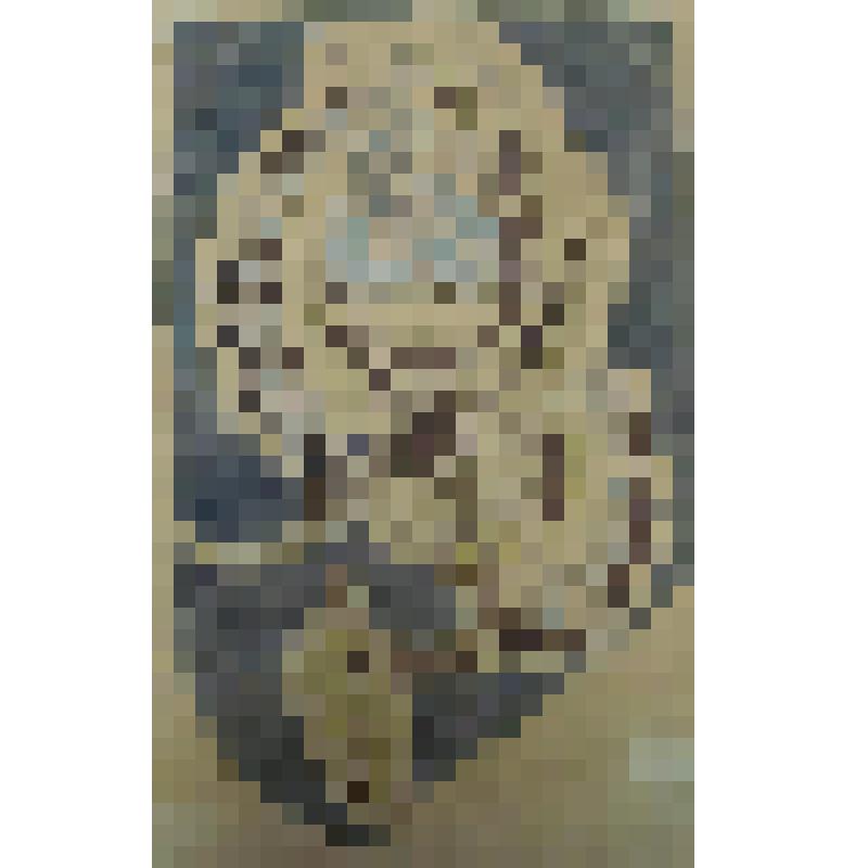 Орнамент. Цветок. Рисунок